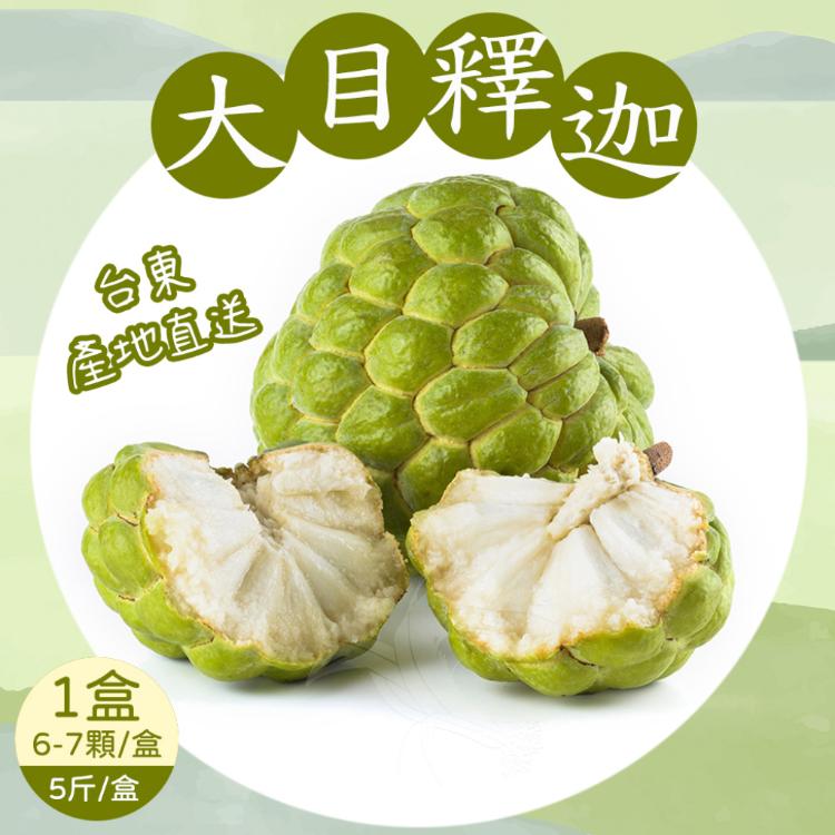 【禾鴻】台東優質大目釋迦5斤/盒(6-7顆/盒_小果)