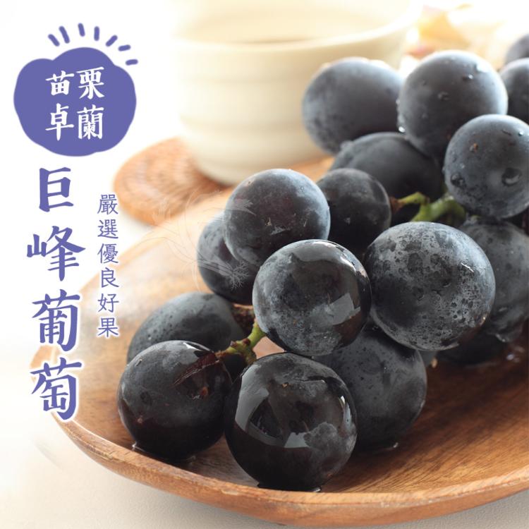 【禾鴻】苗栗卓蘭優等巨峰葡萄5斤/盒(8-10串/盒)