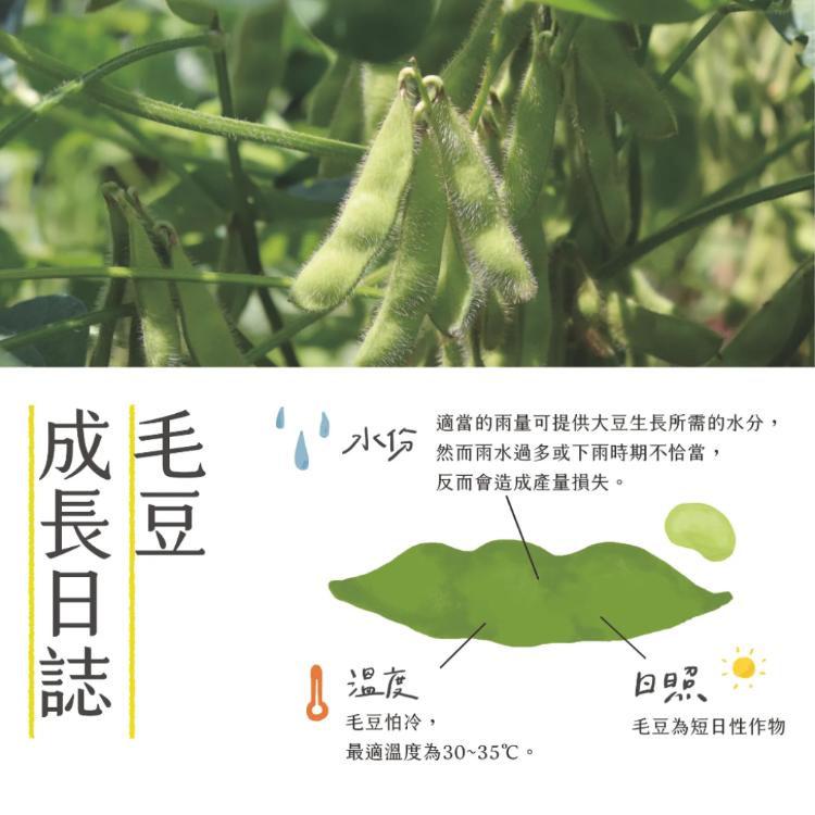 【台南新市區農會】經典原味毛豆莢(400g/包)