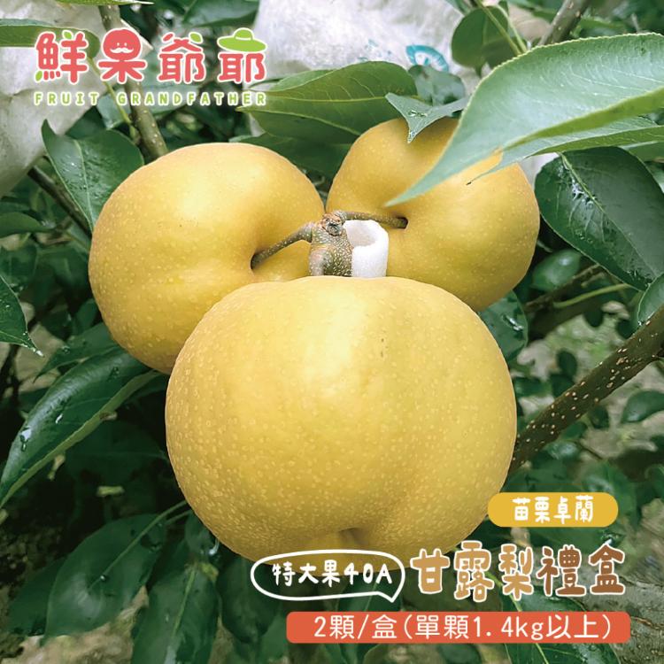 【鮮果爺爺】苗栗卓蘭特大果40A甘露梨禮盒(2顆/盒_單顆1.4kg以上)