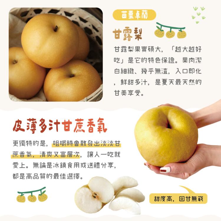 【鮮果爺爺】苗栗卓蘭大果24A甘露梨禮盒(2顆/盒_單顆0.8kg以上)
