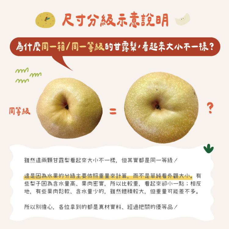 【鮮果爺爺】苗栗卓蘭大果24A甘露梨禮盒(2顆/盒_單顆0.8kg以上)