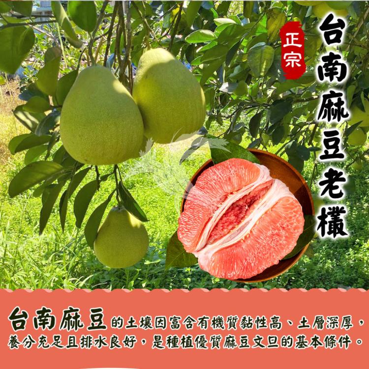 【禾鴻】台南麻豆40年老欉文旦紅柚禮盒10斤/箱(6-10顆/箱)