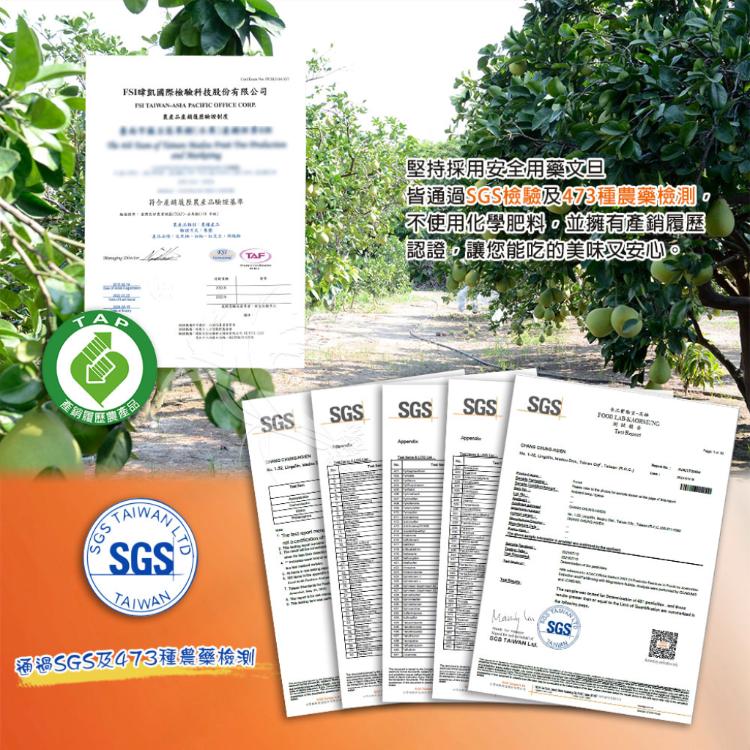 【禾鴻】台南麻豆40年老欉文旦紅柚禮盒10斤/箱(6-10顆/箱)