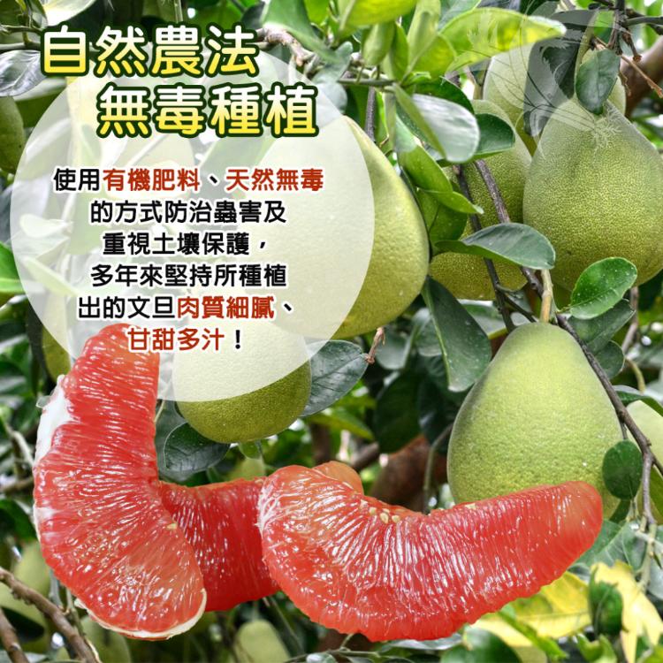 【禾鴻】台南麻豆40年老欉文旦紅柚禮盒10斤/箱(6-10顆/箱)