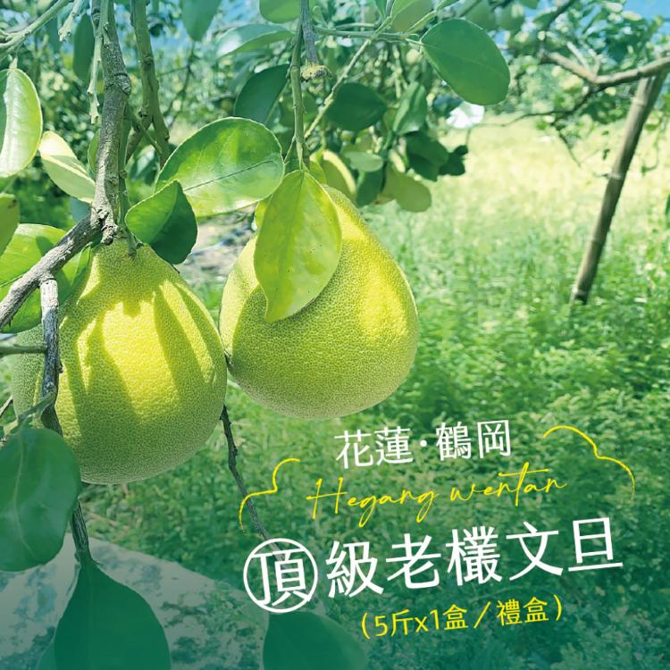 【杰市優果】50年花蓮鶴岡嚴選頂級老欉文旦5斤禮盒(6-8粒/盒)