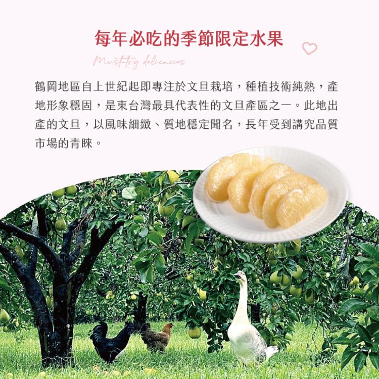 【杰市優果】50年花蓮鶴岡精選頂級老欉文旦10斤禮盒(10-15粒/箱)