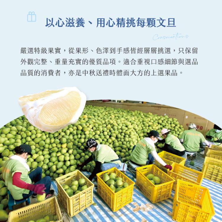 【杰市優果】50年花蓮鶴岡精選頂級老欉文旦10斤禮盒(10-15粒/箱)