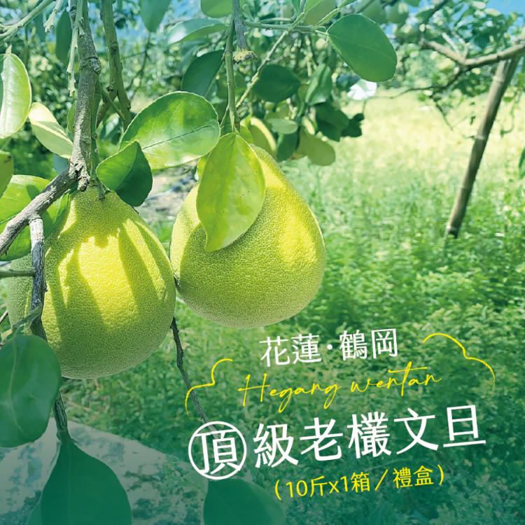 【杰市優果】50年花蓮鶴岡精選頂級老欉文旦10斤禮盒(10-15粒/箱)