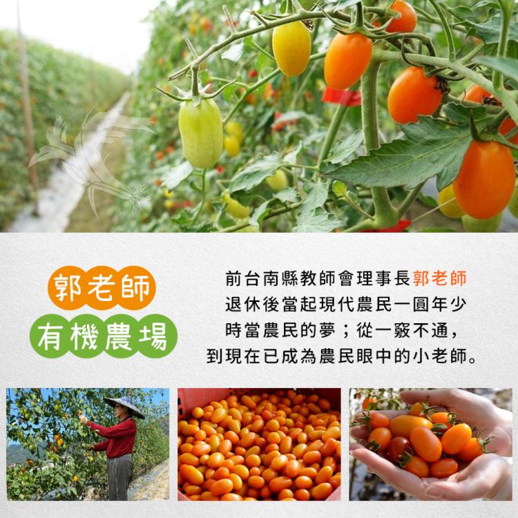 【禾鴻】郭老師農場有機認證橙蜜香小番茄禮盒4斤/盒(淨重不帶蒂頭出貨)