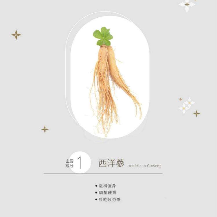 【ShengWen梁時】西洋蔘茶/漢方養生茶/無咖啡因