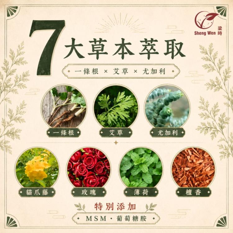 【Sheng Wen梁時】艾草暴富貼/一條根精油貼布/艾草精油貼/金門一條根 /台灣製造
