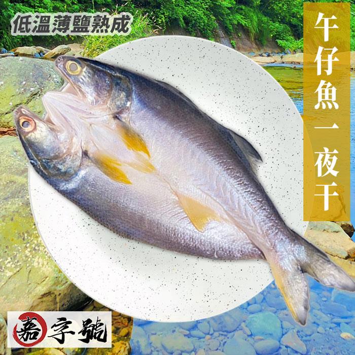 低溫薄鹽熟成，午仔魚一夜干。