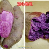 紫心地瓜 5台斤 特價：$160