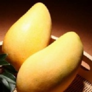 六龜特產-金煌芒果