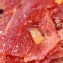 泰式小管肉乾