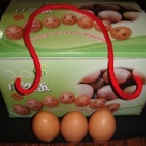 0_0G自然蛋【機能蛋】 一盒3台斤裝.約24-27粒.重量不變粒數因蛋的大小粒