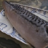 挪威真空包裝薄鹽鯖魚230g 單一包裝特價80元