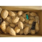 Opoca產地蔬果-三芝台農57號地瓜-黃皮黃肉（大/中/小）5斤裝 特價：$120