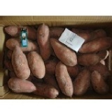 Opoca產地蔬果-金山台農66號地瓜-紅皮紅肉（大/中/小）五斤裝 特價：$120