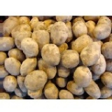 Opoca產地蔬果-（豐原產）現採馬鈴薯。三斤裝 特價：$85