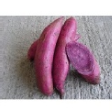 Opoca產地蔬果-現採紫玉地瓜-五台斤裝 特價：$199