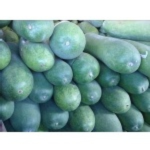 Opoca產地蔬果-鮮採季節冬瓜
