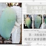 太極系列芒果--烏龍芒果【B級】 新品上市 ~ 通過SGS檢測 § 最安心的水果§