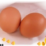 沈氏鮮機蛋 特價：$70