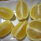 古坑柳丁 幾乎不噴藥 保證甜 安全 一斤8元! 特價：$8