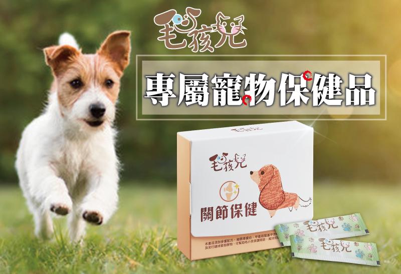 專屬寵物保健品，關節保健，本底保濕加參膩配方,將瞭李白,被其中,且行持關,可載15小包證開,撇球，毛孩兒，毛孩咒。