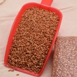 【水長流】花蓮富里養紅米 特價：$99