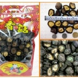 特選黑皮《中大朵》埔里香菇〈600g 一斤〉 ★高山栽培品質佳 ★香氣濃郁，燉湯好滋味