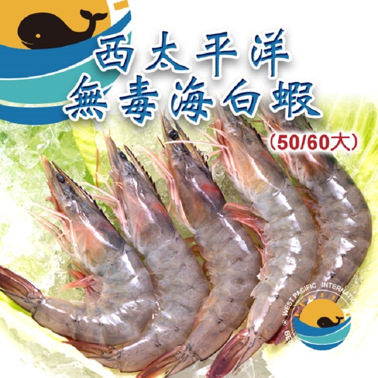 【西太平洋】履歷無毒海白蝦(50/60大)