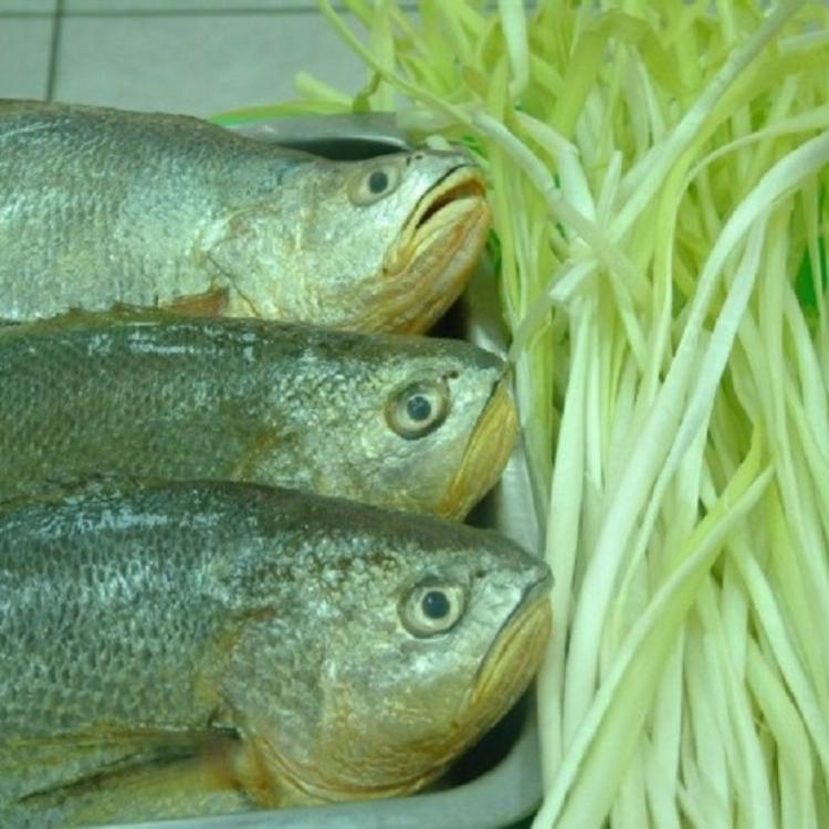 【畢老爺】山東威海鮁魚水餃 黃花魚水餃