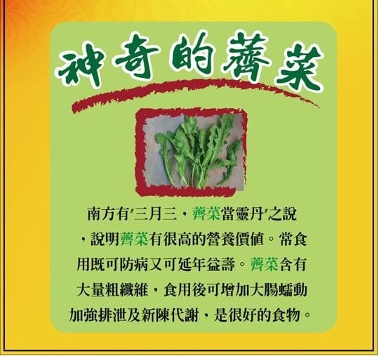 神奇的藩菜,南方有三月三,薺菜當靈丹之說,說明薺菜有很高的營養價值。常食,用既可防病又可延年益壽。灣菜含有,大量粗纖維,食用後可增加大腸蠕動,加強排泄及新陳代謝,是很好的食物。