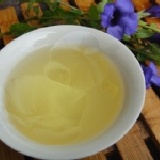 阿里山春季烏龍茶(四兩裝)