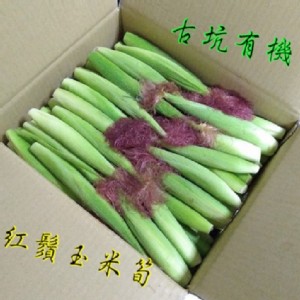 免運!【古坑有菜】有機紅鬚玉米筍10公斤 10kg/箱