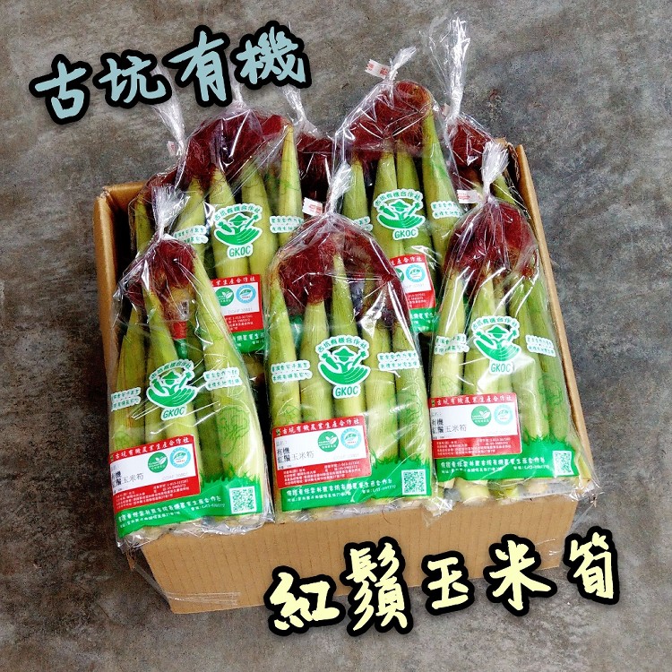 【古坑有菜】有機紅鬚玉米筍18包入