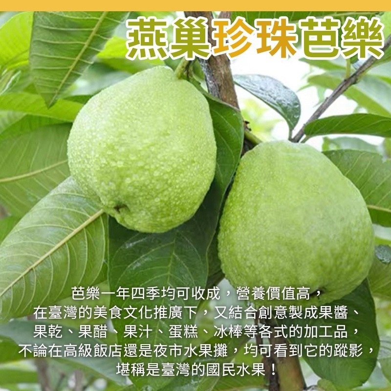 燕巢珍珠芭樂，芭樂一年四季均可收成,營養價值高,在臺灣的美食文化推廣下,又結合創意製成果醬、果乾、果醋、果汁、蛋糕、冰棒等各式的加工品,不論在高級飯店還是夜市水果攤,均可看到它的蹤影,堪稱是臺灣的國民水果!。