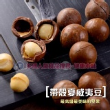 帶殼夏威夷豆 人氣堅果[TW00386]健康本味