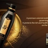 韓國 呂Ryoe 黑瓶頂級人蔘 洗髮精/潤髮乳 200ml