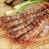 南海豐【野生海大草蝦】 野生海撈超大！船上活凍，海上先生嚴選，肉質Q甜扎實，5尾入(實重400g±5%)