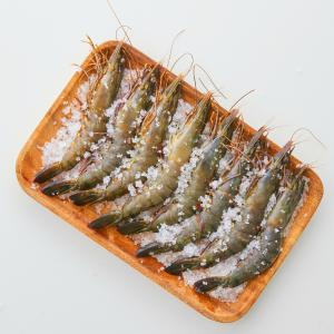 【御嵿國際】大尾金剛蝦