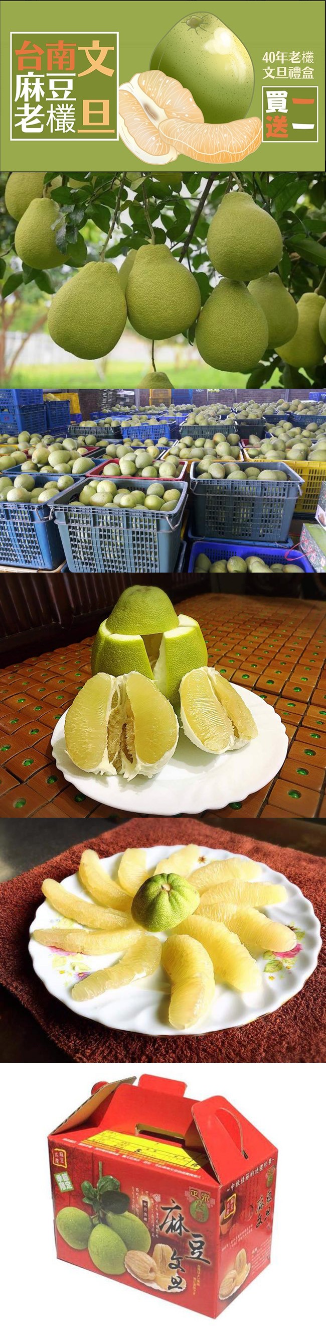 台南文,老欉日,40年老欉,文旦禮盒。