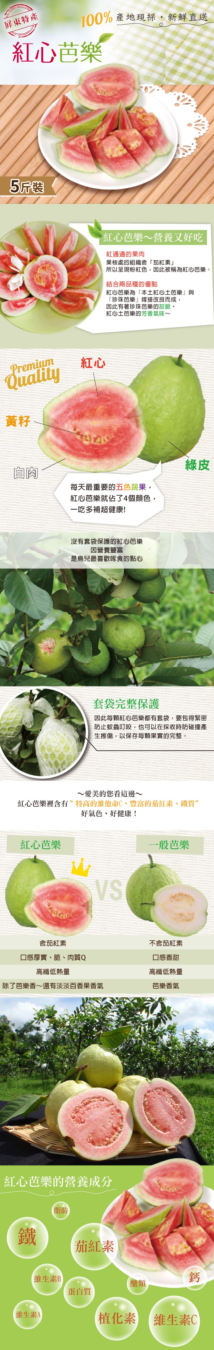 100%產地現採,新鮮直送,屏東特產,紅心芭樂,5斤裝,紅心芭樂~營養又好吃,紅通通的果肉,果核處的組織含茄紅素所以呈現粉紅色,因此被稱為紅心芭樂。結合兩品種的優點,紅心芭樂為本土紅心土芭樂與,珍珠芭樂嫁接改良而成,因此有著珍珠芭樂的甜脆、紅心土芭樂