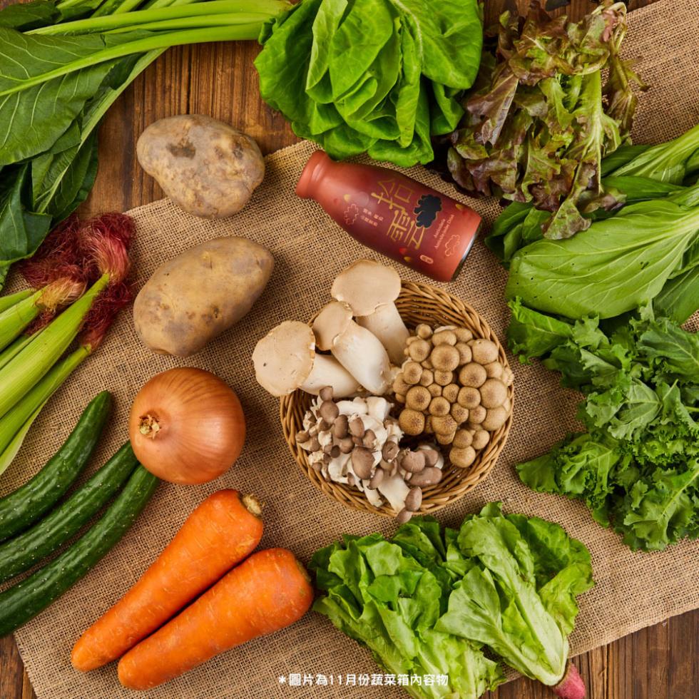 圖片為11月份蔬菜箱內容物。
