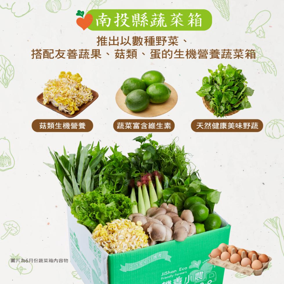南投縣蔬菜箱，推出以數種野菜、搭配友善蔬果、菇類、蛋的生機營養蔬菜箱，菇類生機營養，圖片為6月份蔬菜箱內容物，蔬菜富含維生素，支持家鄉味農至，天然健康美味野蔬，善小農。