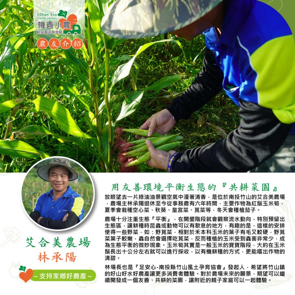 機善小農,鮮採直送蔬菜箱 LO,農友介紹,艾合美農場,林承陽,支持家鄉好農產~,用友善環境平衡生態的共耕菜園放眼望去一片綠油油景觀空氣中漫著清香,是位於南投竹山的艾合美農場,農場主林承陽退休至今從事務農有六年時間,主要作物為紅鬚玉米筍,夏季會栽種空心