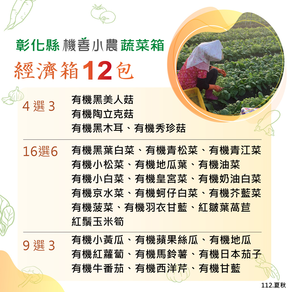 彰化縣機善小農蔬菜箱,經濟箱12包,4選3,有機黑美人菇,有機陶立克菇,有機黑木耳、有機秀珍菇,16選6 有機黑葉白菜、有機青松菜、有機青江菜,有機小松菜、有機地瓜葉、有機油菜,有機小白菜、有機皇宮菜、有機奶油白菜,有機京水菜、有機蚵仔白菜、有機芥藍
